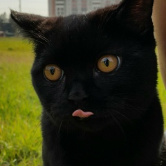 Алла Чернецкая, 27.11.1975, Северобайкальск