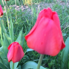 Елена Жулинская, 03.07, Санкт-Петербург