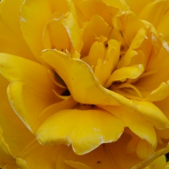 Марина Коломиец, 23.05, Киев