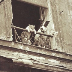 Алиби Жапаров, 07.07, Караганда