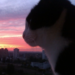 Сергей Кидаев, 06.02.1991, Астрахань