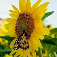 Марина , 30.10.1987, Алматы