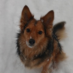 Юлия Харитонова, Выборг