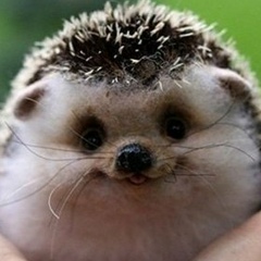 Марат Альмухометов, 17.11.1992, Волгоград