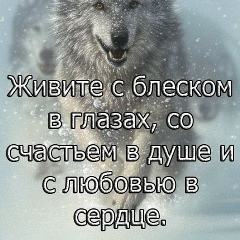 Инна Зиялтдинова, 13.06.1987