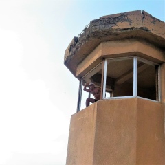 Сергей Сидоров, 14.11.1963, Санкт-Петербург