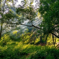 Константин Артозеев, 02.07.1987, Москва