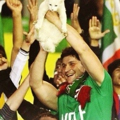 Серый Borz, 19.12.1988, Москва