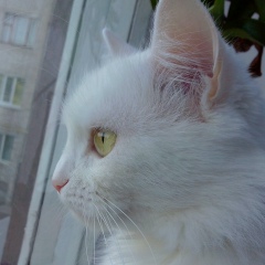 Ириша Некрытая, 19.05.1988, Казатин