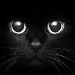 Рина Супрун, 22.06, Харьков