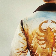 Руслан Алексеев, Wien