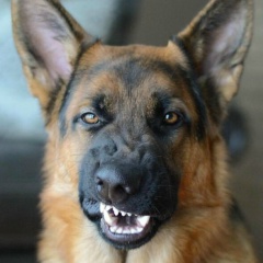 Галина Неретина, 01.08.1967, Санкт-Петербург