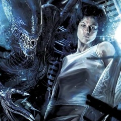 Константин Сафронов, 04.06.1985, Санкт-Петербург