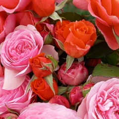 Катя Третьякова, 15.04, Чехов