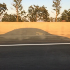 Арсен Егиазарян, 14.11.1980, Санкт-Петербург