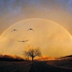 Nigar Aslanova, 15.05.1990, Баку