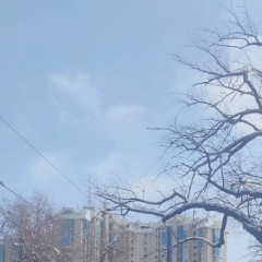 Kano Kanov, Алматы