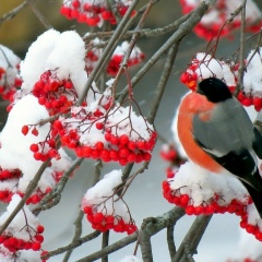 Гульнира Хусаинова, 27.09.1989, Казань