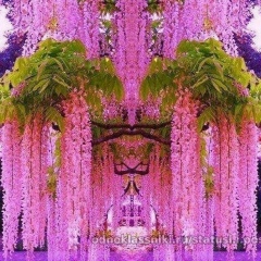 Бермет Оморалиева, 25.06.1981, Новосибирск