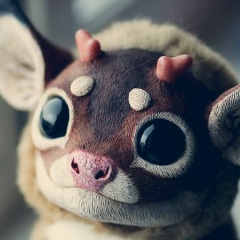 Артём-Котаус Белий, 05.08.2001