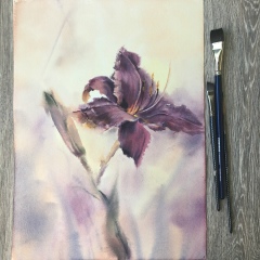 Юлия Кармова, 19.06, Черкесск