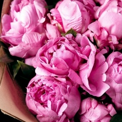 Анастасия Панкратова, 23.06.1991, Ростов-на-Дону