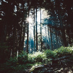 Mo Noon, 01.01.1997, Атырау