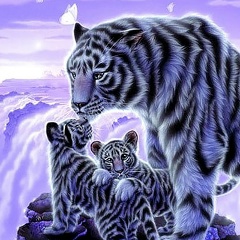 Элеонора Карданова-Фицева, Нальчик