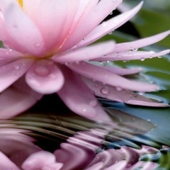 Юна Кускова, 31.12, Санкт-Петербург