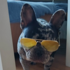 Евгений Шелухин, 22.07.1980