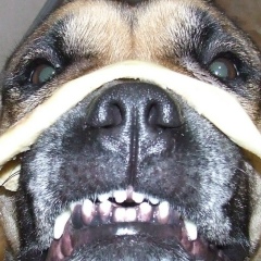 Elena Ульева, 07.01, Череповец