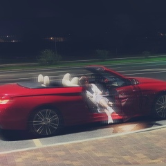 Юлия Тореева, 28.02.1915, Chicago