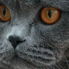 Оксана Портная, 02.03.1989, Днепр (Днепропетровск)