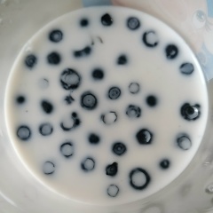 Андрей Семушин, 26.12