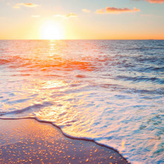 Сергей Полушин, 06.09.1986, Йошкар-Ола