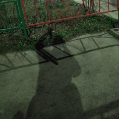 Артем Шпек, 12.11, Москва