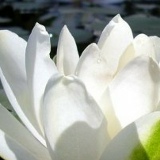 Оксана Николаева, 02.07.1987, Омск