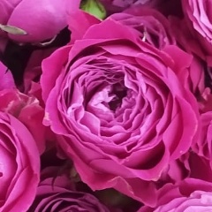 Алие Асанова, 18.02.1994