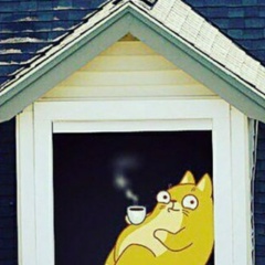 Helga Havrysh, Макеевка