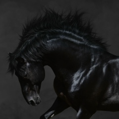 Ельдар Тельманов, Астана