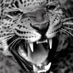 Вадим Damueliter, 27.12.1994, Москва