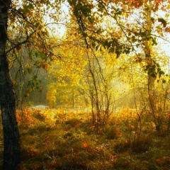 Виктория Начина, 19.08.1992, Киев