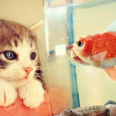 Хеда Исмаилова, 08.03