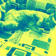 Рома Мякишев, 24.07.2000, Конаково