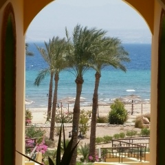 Элла Соловкина, 19.05.1969, Балашиха