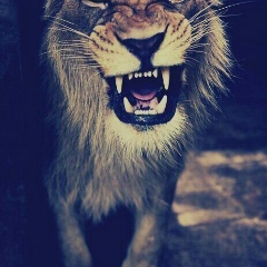 Муса Мамилов, 01.06.1995, Малгобек