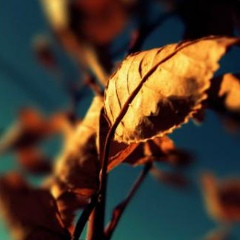 Оксана Иоаннисянц, Москва