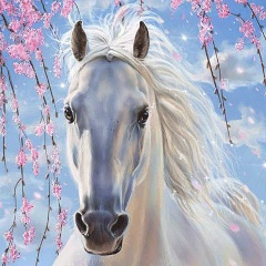 Дмитрий Николаевич