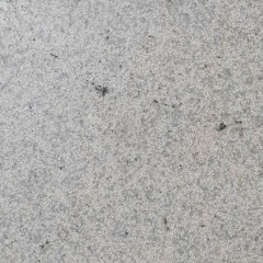 Дмитрий Захаров, Санкт-Петербург