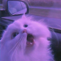 Оксана Кузьмина, 14.05